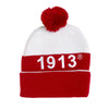 Delta Sigma Theta Knit Embroidered Beanie Hat