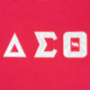 Delta Sigma Theta Ringer T-Shirt Red