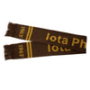 Iota Phi Theta Knit Scarf