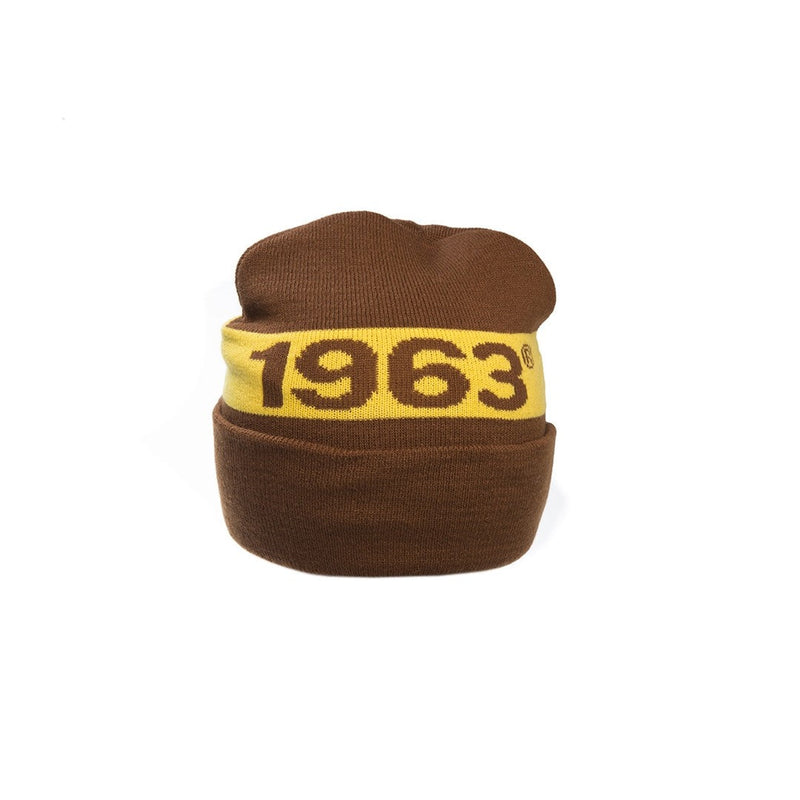 Iota Phi Theta Knit Beanie Hat